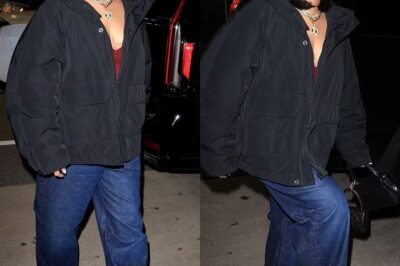 Rihanna puts on a very trendy display in stylish oversized outfit as she enjoys night out in Santa Monica