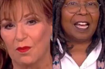 ‘The View’ fans are furious about the show’s abrupt CANCELLATION. Here’s when it will be BACK on air
