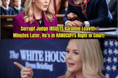SHOCKING: Corrupt Judge Mocks and Scorns Karoline Leavitt in Court – Minutes Later, Karoline’s WISDOM Reaction Ends His Career BECAUSE…..😱  Details in comment👇