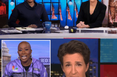Chaos erupts behind the scenes at NBC as Rachel Maddow goes off in a fiery outburst—calling top execs ‘bastards’ after uncovering the real reason behind Joy Reid’s shocking departure.