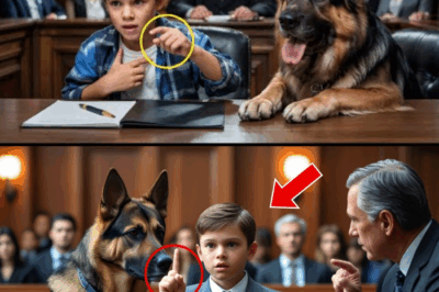 Little Boy Gives a Secret Signal to Her Dog. Judge Stops the Courtroom in Shock!