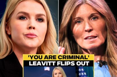 SH0CK: Karoline Leavitt blasts MSNBC host Nicolle Wallace for ‘disgusting’ segment about cancer-stricken boy