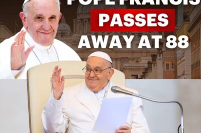 BREAKING NEWS: Pope Francis Dies at 88 – VATICAN Officials Reveal the Heartbreaking Final Moments of the Beloved First Latin American Pontiff as Catholics Worldwide Mourn the Loss