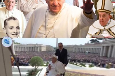 Pope Francis ’cause of death’ is revealed: After Nearly an Hour Greeting Massive Crowds with Unshakable Joy, The 88-Year-Old Suddenly Dies – Sh0cking Revelation Sparks Frenzied Theories and Growing Speculation That His Last Act Was a Sign from Heaven Itself.