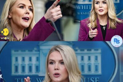 INSANE LIVE TV MELTDOWN: Reporter Crosses the Line with Karoline Leavitt Brutal Insult Caught on Camera Sparks Instant Backlash! Leavitt’s Fiery Comeback Leaves Studio Stunned Reporter FIRED Just Hours Later After Public Outrage Erupts What Was Said? Internet Can’t Stop Talking About the On-Air Explosion!