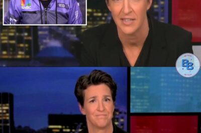 MSNBC’s Rachel Maddow rips own network’s bosses live on air blasting ‘indefensible’ changes after Joy Reid’s show axed