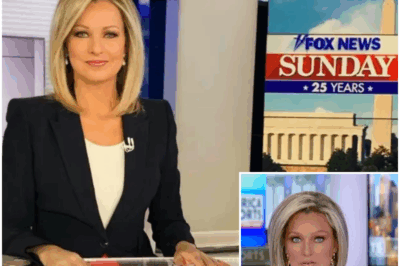 Sandra Smith Breaks Silence with Shocking Confession During Live Broadcast—You Won’t Believe What She Revealed About Her Career and Family Life!