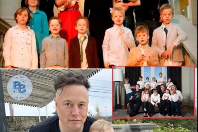 Billionaire Elon Musk Has Become The Father Of 11 Children After Welcoming His Third Child With Ex-Girlfriend Grimes, Stating, “I’M Doing My Part To Address The Underpopulation Crisis.”