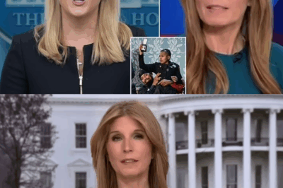 Internet Erupts Over Karoline Leavitt’s Violent Reaction to MSNBC Icon Nicolle Wallace—After Jaw-Dropping Footage Goes Viral, Shocking Truth Emerges That Turns Haters Into Supporters Overnight, Forcing Social Media To Reevaluate Who Was Truly in the Wrong During This Headline-Grabbing TV Meltdown.