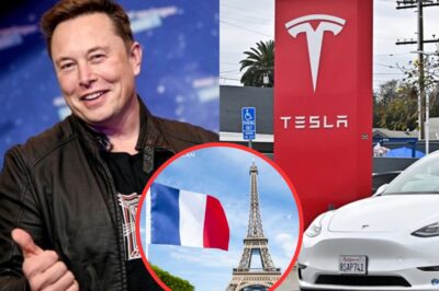 France makes bold decision to shut down Tesla and the US auto industry – Elon Musk responds with a shocking message of only 8 words, revealing a hidden truth that shocks the world.