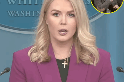 THIS JUST HAPPENED: Shocking Fallout—Reporter FIRED After INSULTING Karoline Leavitt on Live TV! In a dramatic turn of events, a reporter was fired after making a humiliating insult toward Karoline Leavitt during a live interview. What started as a routine exchange quickly turned toxic when the reporter crossed the line with a disrespectful comment aimed directly at Leavitt. The tension was palpable as she fired back with a blistering response that left everyone in the room stunned. The backlash was swift, and within hours, the reporter was out of a job. What was said that sparked such a massive reaction, and how did Karoline handle the situation? The shocking details behind this live TV moment are now going viral, and fans are in awe of Leavitt’s strength. You won’t believe what happened next