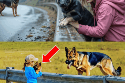 Little Girl Returns Lost Puppy to Its Crying Mom—What Happened Next Will Leave You Shocked