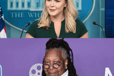 Karoline Leavitt’s $800 Million Lawsuit Sends Shockwaves Through ABC’s ‘The View’-Hosts in Full Panic Mode as Legal Battle Escalates!