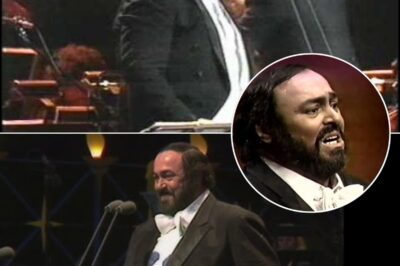 The legendary Luciano Pavarotti delivered a breathtaking rendition of Pourquoi me réveiller, one of the most emotionally charged arias from Jules Massenet’s Werther, in front of over 500,000 fans at New York’s Central Park. Accompanied by the New York Philharmonic under the baton of Leone Magiera, Pavarotti’s soaring vocals and unmatched artistry made this free concert an unforgettable moment in operatic history.