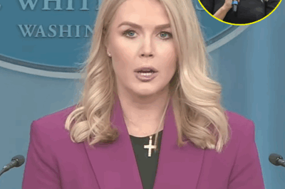 Reporter Fired After Insulting Karoline Leavitt LIVE on TV — The Shocking Moment You Won’t Believe!