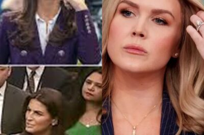 THIS JUST HAPPENED: Reporter FIRED After INSULTING Karoline Leavitt LIVE on TV—The Explosive Moment You Have to See!