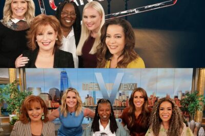 Shocking News: ‘The View’ Officially Cancelled After Decades on Air!
