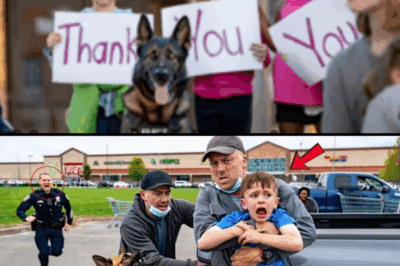 A Heroic K9’s Instinct in the Midst of Suburban Normalcy Unveils a Systemic Darkness: How a German Shepherd’s Nose Exposed a Far-Reaching Child Abduction Network Hiding in Plain Sight and Sparked a Community’s Fight Against Unspeakable Evil. Beneath the Cheerful Facade of a Bustling Supermarket, an Orchestrated Abduction Is Foiled and a Web of Crimes Comes to Light—Thanks to the Determination of One Officer and His Four-Legged Partner. The Willow Creek Incident: A Tale of Bravery, Loss of Innocence, and an Ongoing Battle for Justice That Proves True Heroes Sometimes Walk on Four Paws.