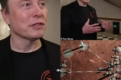 Elon Musk leaves Fox News host stunned as he reveals terrifying prediction all Americans should fear