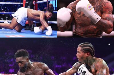 Gervonta Davis and Daniel Dubois feature on list of highest KO ratios among boxing world champions