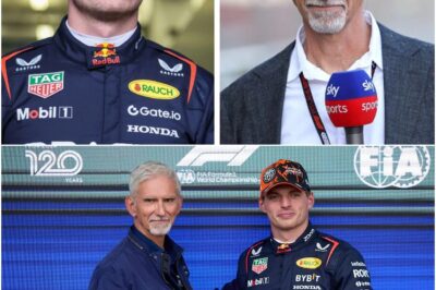 F1 Champion Damon Hill Furious After Car Break-In – Humorously Blames Verstappen