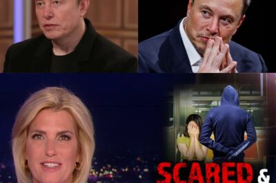 Elon Musk leaves Fox News host stunned as he reveals terrifying prediction all Americans should fear