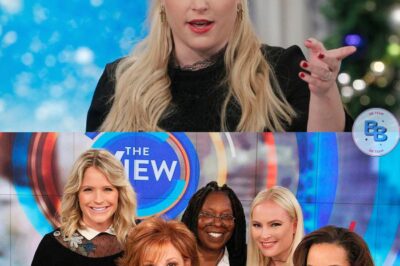 Meghan McCain Exposes ‘Toxic Culture’ at The View—Says She Was “Set Up to Fail” by Co-Hosts!