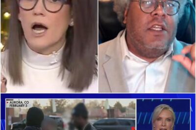 Tarlov Tries to Smooth Over Debate After Mystal’s Explosive Immigration Rant