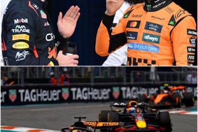 Max Verstappen’s Move Might Not Be the Coolest, But It Delivers Results