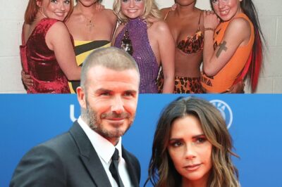 The sh0cking reason the Spice Girls have reunited WITHOUT Victoria Beckham: Insiders tell KATIE HIND how the band are back rehearsing and are even planning a tour… but haven’t bothered to get in touch with Posh