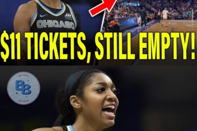 Breaking News: Angel Reese Faces Humbling Moment as LSU Gym Remains Empty Despite Ultra-Cheap Tickets for Chicago Sky Preseason Game
