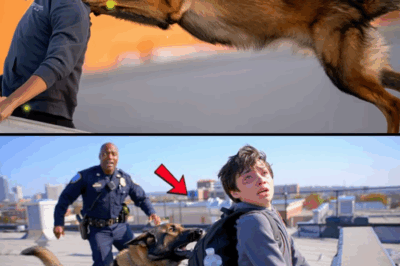 K9 Dog Saves Students-The Shocking Truth Hidden in a Teen’s Journal