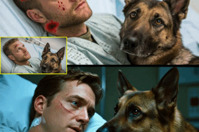 A Paralyzed Marine Gave a Final Order—What the German Shepherd Did Next Stunned the Entire Hospital