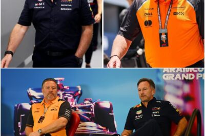 Christian Horner and Zak Brown clash in McLaren F1 legality debate