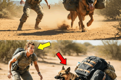 Female Ranger Catches a K9 Dog Carrying Heavy Backpack — She’s Shocked by What’s Inside The Backpack