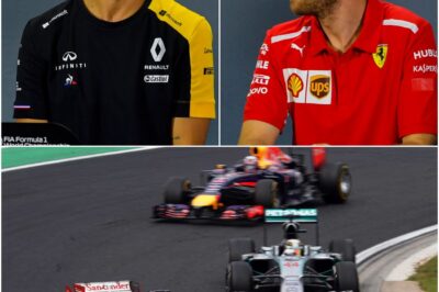 I Spun, He Won”: Vettel Breaks Silence on Infamous 2014 Hungarian GP That Let Ricciardo Snatch Glory in One of F1’s Most Chaotic Races Ever