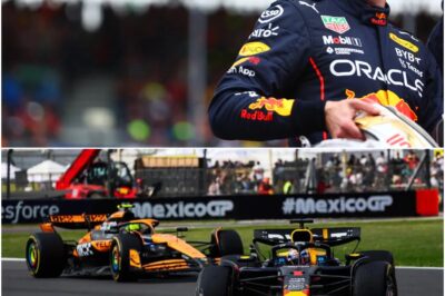 Should Max Verstappen Take a Year Off? F1 Champion’s Shocking Advice Amid Red Bull’s Struggles