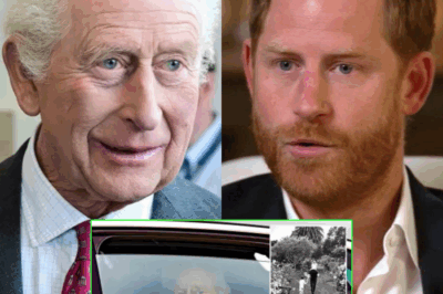 King Charles Breaks Silence After Harry’s Drama – What’s Really Driving His Excitement for the 80th Anniversary VE Day Events?