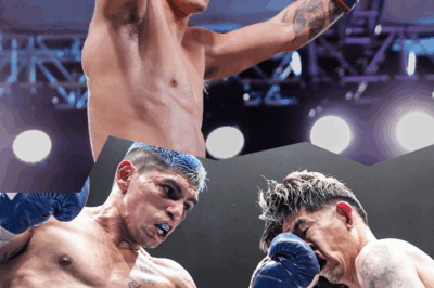 Fernando Martinez survives knockdown, repeats against Kazuto Ioka