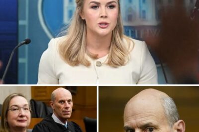 Federal judge James Boasberg and his wife lost their temper when Karoline Leavitt exposed everything with bold never-before-published evidence, the biggest surprise is finally confirmed.