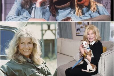 Television World in Mourning as Loretta Swit, the Irreplaceable Major ‘Hot Lips’ Houlihan from M*A*S*H, Dies at Age 87—Fans Flood Social Media with Tributes and Shock as the Passing of the Iconic Actress Marks the End of a Remarkable Era in Showbiz History!