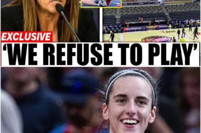 BREAKING: WNBA Spirals Into Chaos as Fever Fans Stage Massive Boycott After Caitlin Clark Injury—Panic Grips the League as Scandalous Cover-Up Comes to Light, Exposing a Crisis No One Saw Coming! Sponsors Are Demanding Answers and Threatening to Pull Support, While Insiders Reveal the WNBA Has Lost All Control Behind the Scenes. As fan outrage explodes and shocking truths continue to emerge, experts warn that this boycott could spark an irreversible collapse, turning the league’s worst nightmare into reality. Full details on the panic rocking women’s basketball are inside!