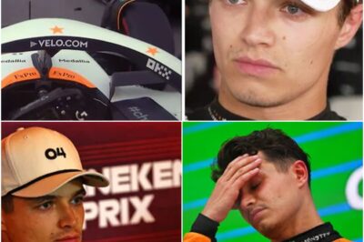 Lando Norris’ Spanish Grand Prix Dream Turns into Nightmare as Superstar Walks Straight Into Wall before Qualifying—Fans Stunned by Bizarre Blunder Amid Claims of Meltdown over Rival Oscar Piastri’s Form, Raising Alarming Concerns about McLaren Ace’s Mental State in Unprecedented Viral Moment!