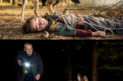 The Town Whispered About the Scarred “Ghost Dog” Left for Dead, But What This K9 Did When a Child Vanished Will Make Your Jaw Drop. You Won’t Believe the Unseen Battle He Fought – And Won – For a Little Girl, Exposing a Secret So Explosive It Rocked the Nation. This is More Than Just a Rescue; It’s a Heart-Pounding Saga of Loyalty, Betrayal, and a K9 Who Remembered His Oath When No One Else Did.