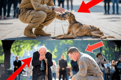 Former War Hero’s Emotional Rescue: Soldier Stumbles Upon Long-Lost K-9 Partner Starving and Broken on Houston Streets—What Happened Next Will Leave You in Tears and Question How Many Four-Legged Heroes Are Left to Die Unknown in Our Own Backyards!