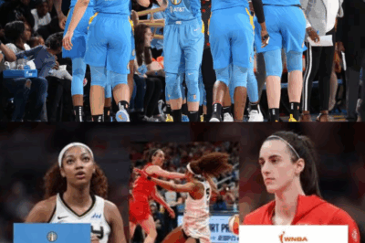 In a desperate move to save themselves from WNBA sanctions, the Chicago Sky have officially admitted Angel Reese’s story was a lie. This bombshell confession exposes a deep fracture within the team, confirming a massive cover-up and leaving their star rookie completely isolated as the investigation’s true target.