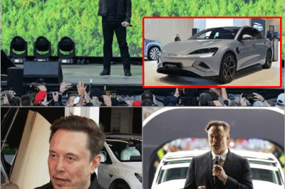 Musk Reacts to Mysterious ‘Robotaxi’ Tesla Spotted in the Wild—Cyberpunk Fonts, Silent Drive-By, and Internet Chaos! 🚘👀 Elon’s Cryptic Comments Send Shockwaves Through Tech Circles. Is the Secret Robotaxi Program Already in Motion Without Announcement?