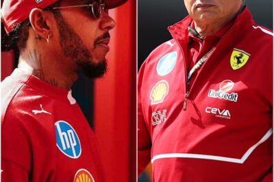 FERRARI CRISIS DEEPENS: Hamilton’s Furious Radio Row Exposes Team in Disarray at Spanish GP—Fans Stunned as Downshift Drama, Pitwall Panic and Internal Tension Put Iconic Squad’s Season in Jeopardy—Is This the Beginning of the End for Vasseur’s Ferrari Dream?