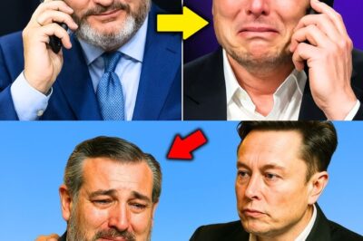 Ted Cruz Called Elon Musk in Secret Midnight Phone Call — What He Confessed Left Musk in Tears and Could Change the Future of American Politics Forever! |D