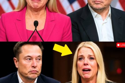 Elon Musk’s Sudden Confession About Jesus Christ SHOCKS America—Pam Bondi Breaks Down on Live TV, Calls It ‘A Divine Awakening’ |D